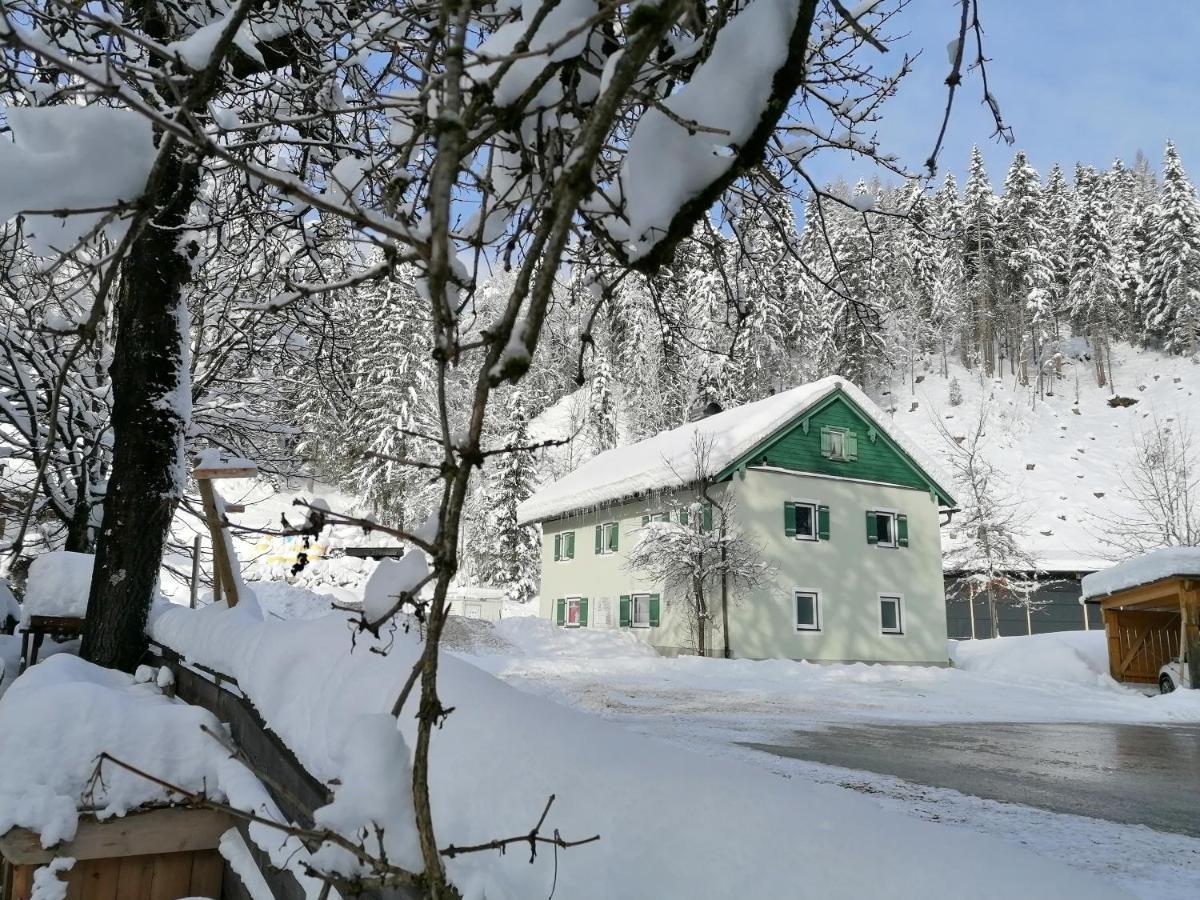 Ferienwohnung Saunahaus Annaberg im Lammertal Εξωτερικό φωτογραφία